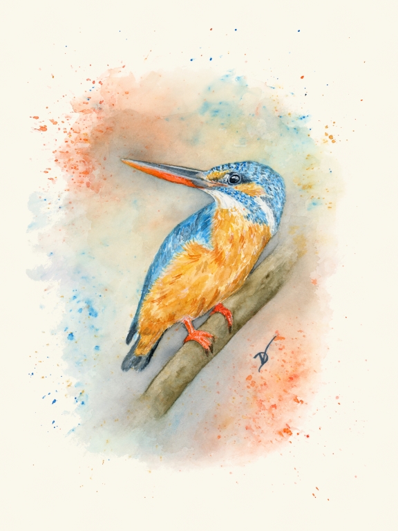 Watercolor Paintings